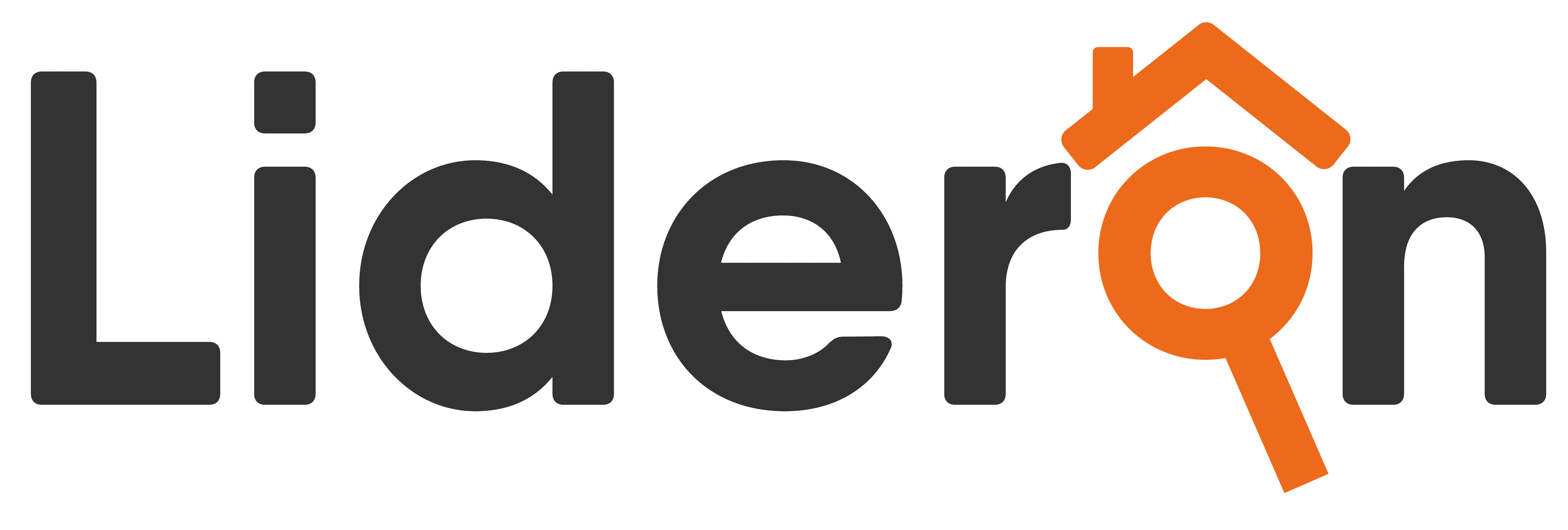 LIDERON_logo_kolor
